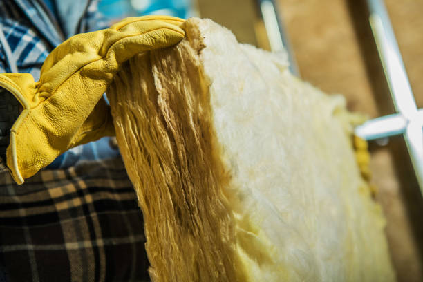 Best Attic Insulation Installation  in Loving, NM