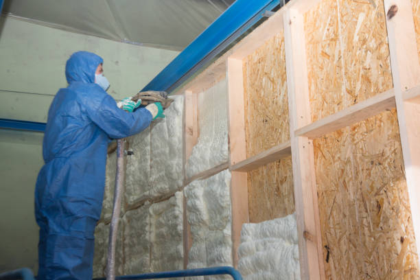 Best Insulation Contractors for Homes  in Loving, NM