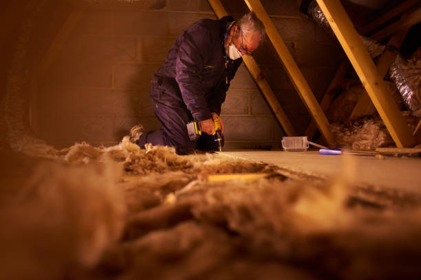 Best Insulation for New Construction  in Loving, NM